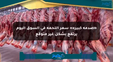 «صدمة كبيرة» سعر اللحمة في السوق اليوم يرتفع بشكل غير متوقع